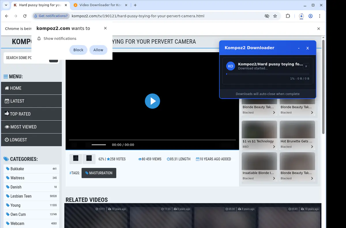 Kompoz2 Video Downloader browser extension screenshot 2