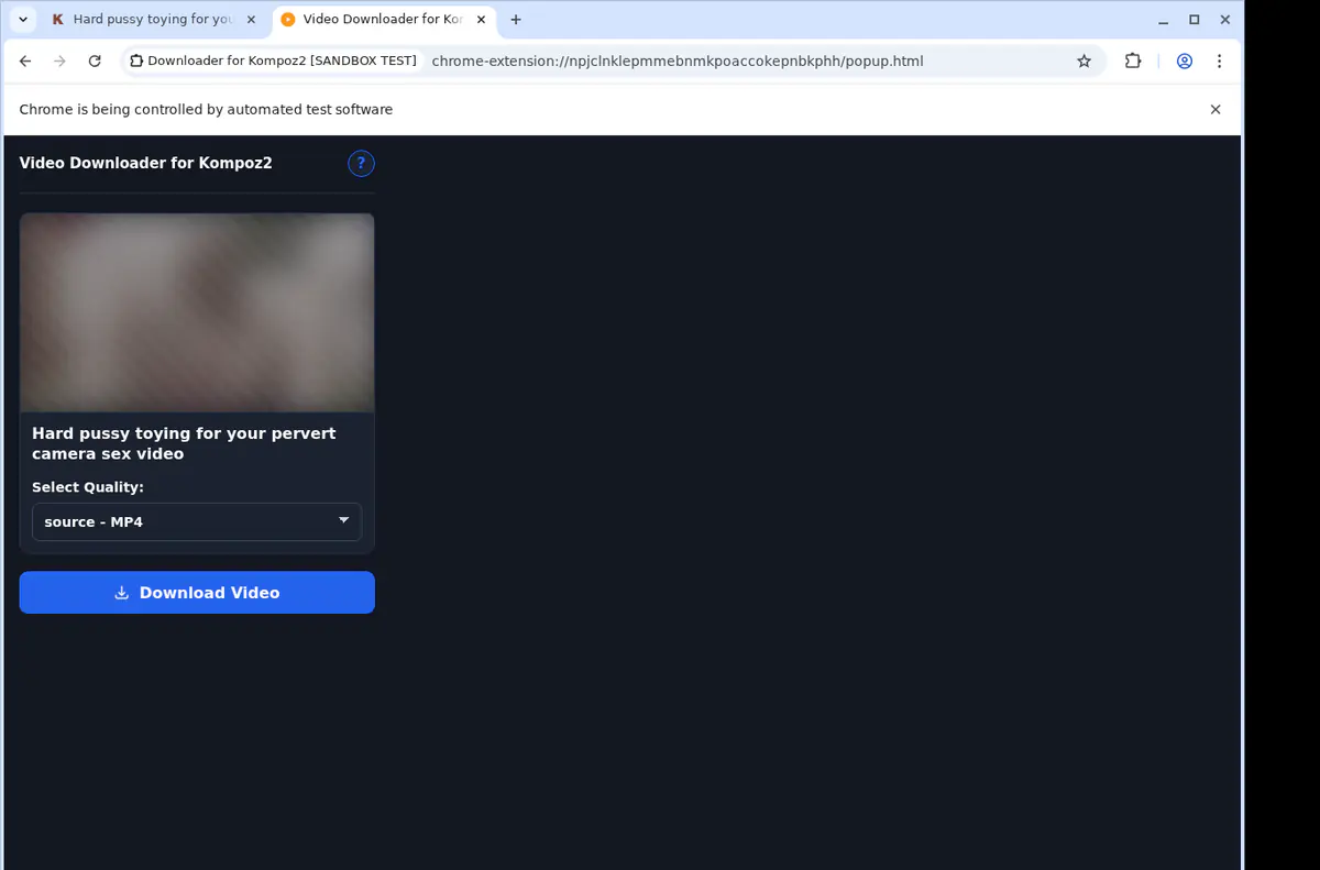 Kompoz2 Video Downloader browser extension screenshot 4